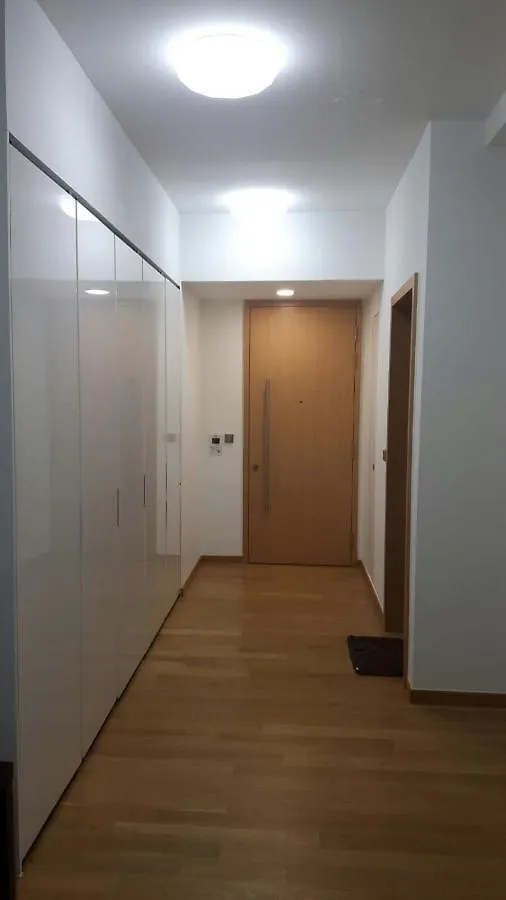 1 Bedroom Apartment At Novena Singapore